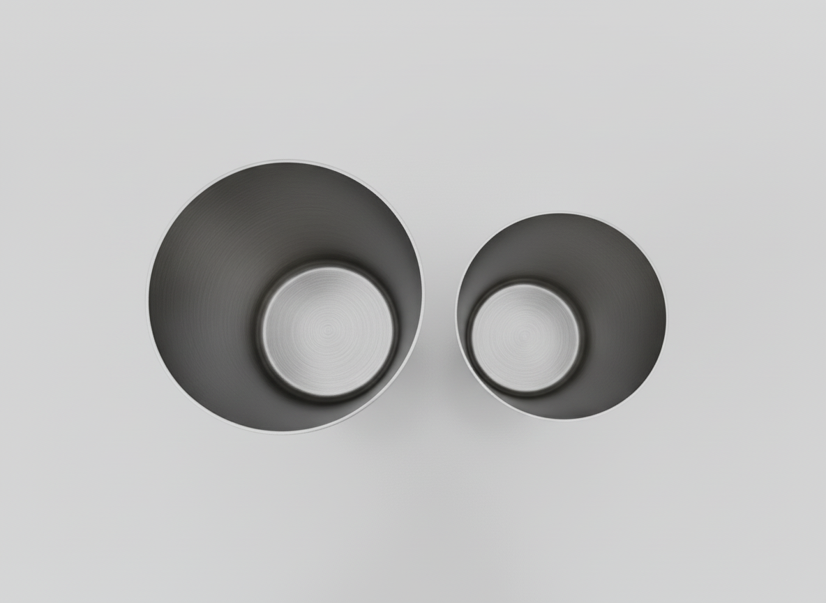 Brushed Stainless Steel Cocktail Shaker Set of 2 (828ml + 591ml)